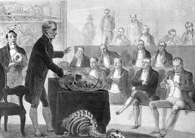 Cours d’anatomie de Georges Cuvier Lithographie française, XIXe siècle © Jacques Boyer / Roger-Viollet