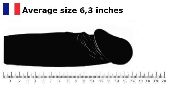 France_average_penis_size_1